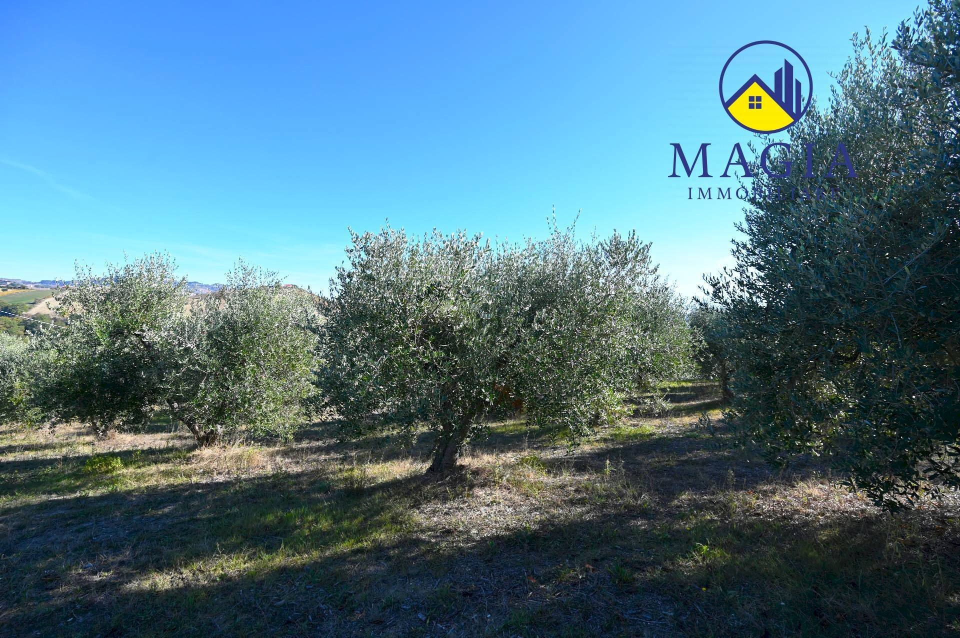 Foto 3 - Independent house Cossignano - photo 3