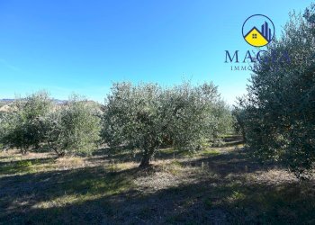 Foto 3 - Independent house Cossignano - photo 3