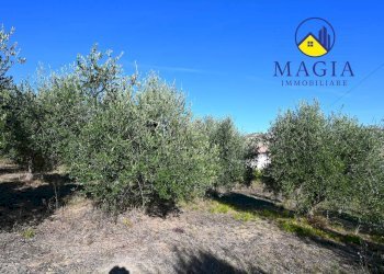 Foto 4 - Independent house Cossignano - photo 4