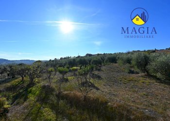 Foto 19 - Independent house Cossignano - photo 19