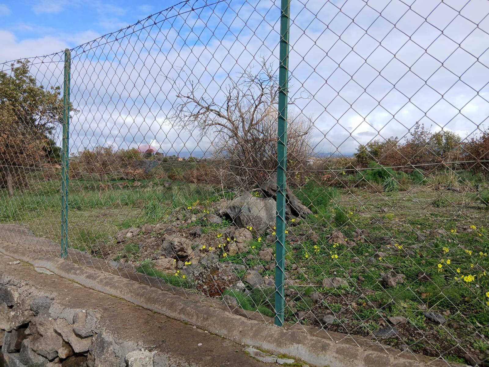 Non correlato - Agricultural land Via Fratelli Cairoli
 
snc, Belpasso - photo 2