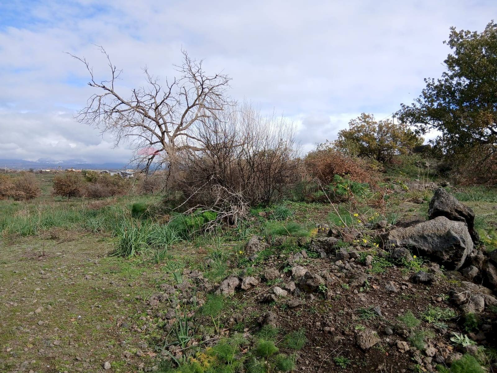 Vista delle montagne - Agricultural land Via Fratelli Cairoli
 
snc, Belpasso - photo 3