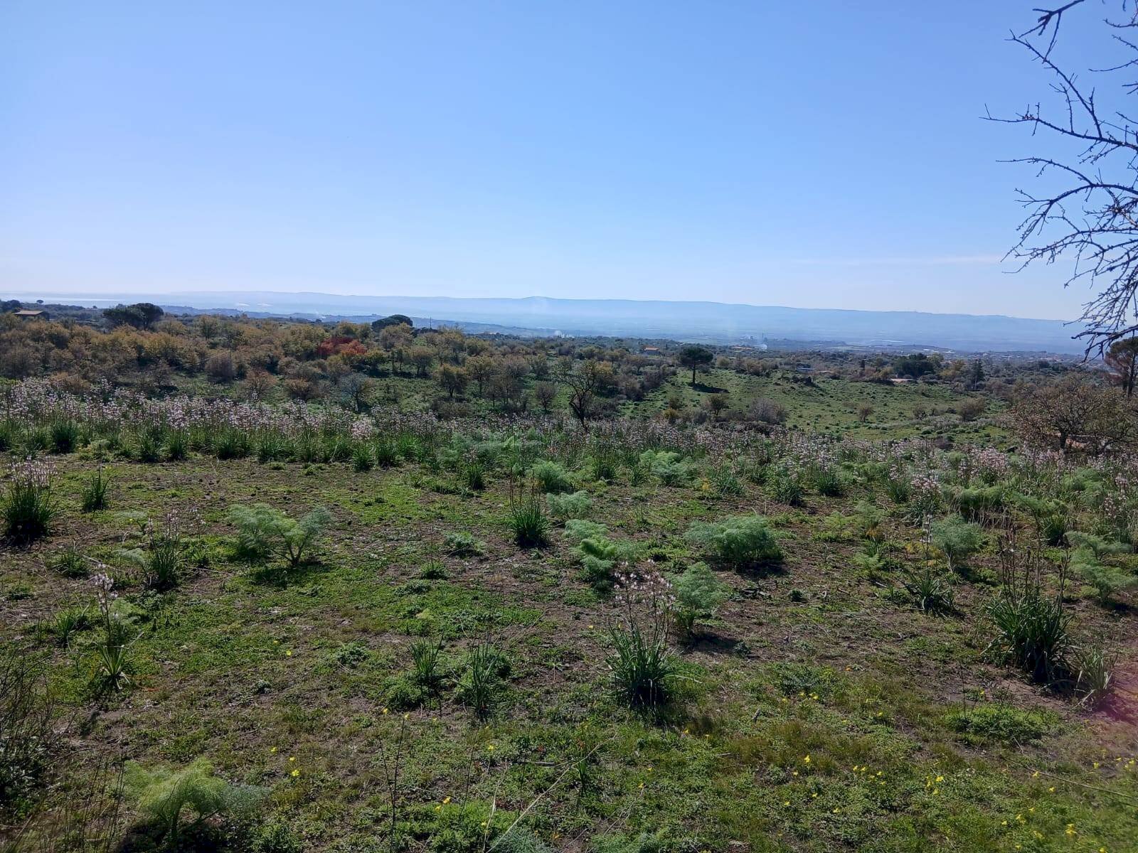 Vista delle montagne - Agricultural land Via Fratelli Cairoli
 
snc, Belpasso - photo 1