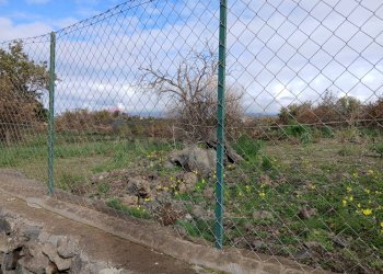 Non correlato - Terreno agricolo Via Fratelli Cairoli
snc, Belpasso - foto 2