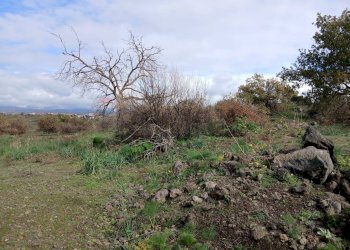 Vista delle montagne - Terreno agricolo Via Fratelli Cairoli
snc, Belpasso - foto 3