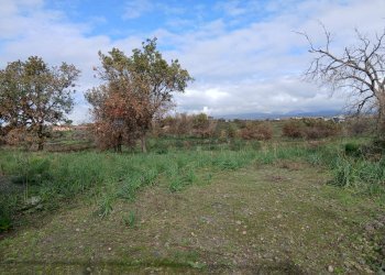 Giardino - Terreno agricolo Via Fratelli Cairoli
snc, Belpasso - foto 4