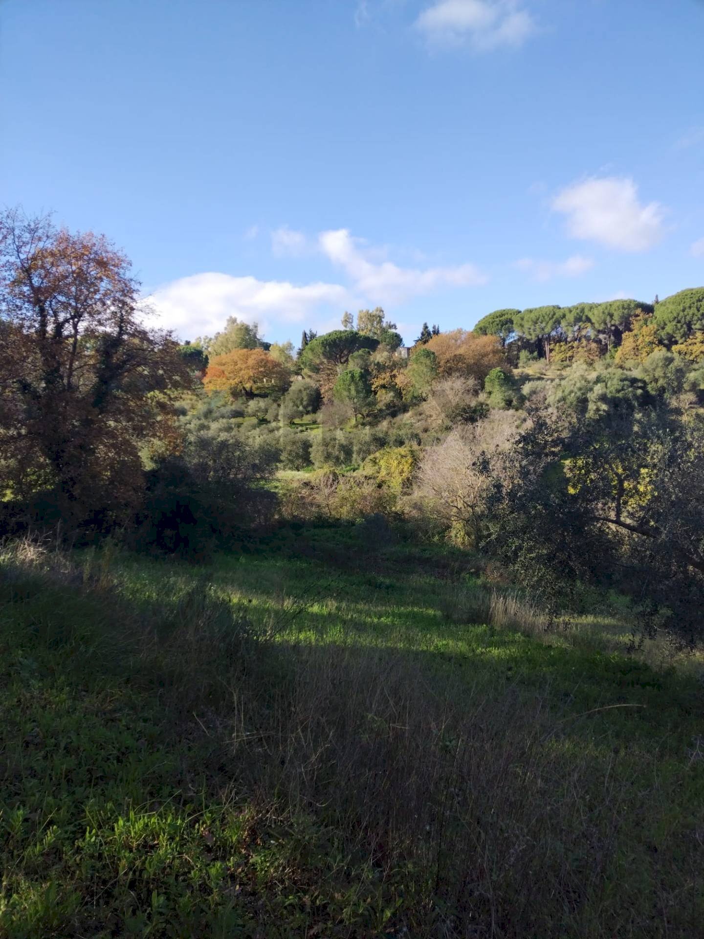 Vista delle montagne - Terreno agricolo Contrada Polleri
 
snc, Piazza Armerina - foto 3