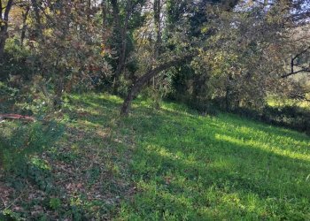 Giardino - Terreno agricolo Contrada Polleri
 
snc, Piazza Armerina - foto 1