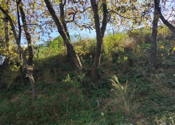 Giardino - Terreno agricolo Contrada Polleri
 
snc, Piazza Armerina - foto 2