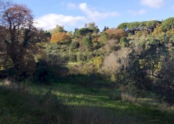Vista delle montagne - Terreno agricolo Contrada Polleri
 
snc, Piazza Armerina - foto 3