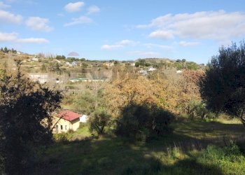 Non correlato - Terreno agricolo Contrada Polleri
 
snc, Piazza Armerina - foto 4