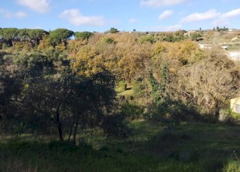 Vista delle montagne - Terreno agricolo Contrada Polleri
 
snc, Piazza Armerina - foto 9