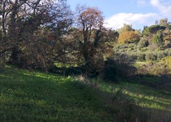 Giardino - Terreno agricolo Contrada Polleri
 
snc, Piazza Armerina - foto 10
