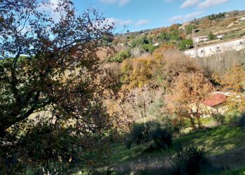 Vista delle montagne - Terreno agricolo Contrada Polleri
 
snc, Piazza Armerina - foto 14