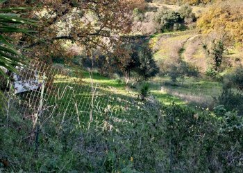 Vista delle montagne - Terreno agricolo Contrada Polleri
 
snc, Piazza Armerina - foto 15
