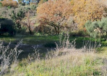 Vista delle montagne - Terreno agricolo Contrada Polleri
 
snc, Piazza Armerina - foto 17