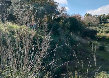Non correlato - Terreno agricolo Contrada Polleri
 
snc, Piazza Armerina - foto 18