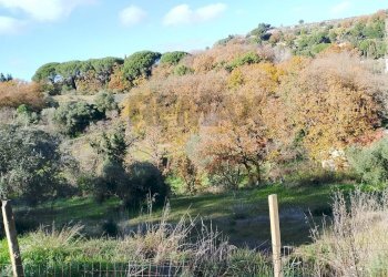 Vista delle montagne - Terreno agricolo Contrada Polleri
 
snc, Piazza Armerina - foto 19