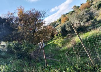 Vista delle montagne - Terreno agricolo Contrada Polleri
 
snc, Piazza Armerina - foto 20