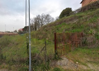 Giardino - Terreno edificabile Roma - foto 2