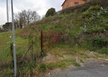 Giardino - Terreno edificabile Roma - foto 4