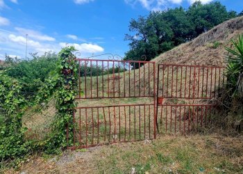 Giardino - Terreno edificabile Roma - foto 9