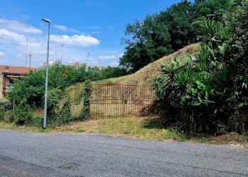 Giardino - Terreno edificabile Roma - foto 10