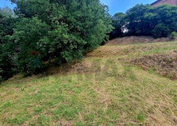 Giardino - Terreno edificabile Roma - foto 14