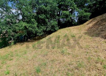Giardino - Terreno edificabile Roma - foto 18