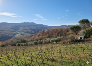 Vista delle montagne - Casa indipendente Aldo Moro
 
6, Radda in Chianti - foto 23