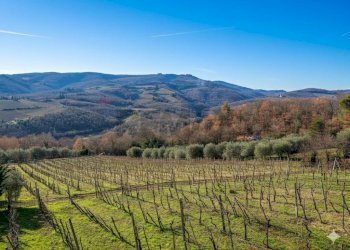 Vista delle montagne - Casa indipendente Aldo Moro
 
6, Radda in Chianti - foto 24