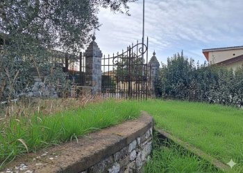 Giardino - Casa indipendente Aldo Moro
 
6, Radda in Chianti - foto 35