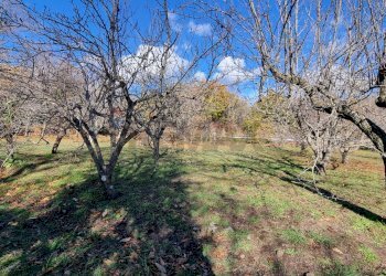 Giardino - Villa via del frutteto, Adrano - foto 12