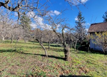 Giardino - Villa via del frutteto, Adrano - foto 13