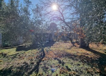 Giardino - Villa via del frutteto, Adrano - foto 14