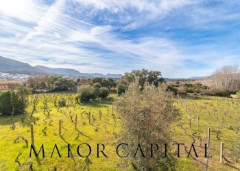 Foto 24 - Villa Via Belluno, Monti - foto 24