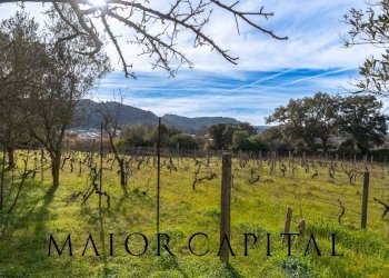 Foto 38 - Villa Via Belluno, Monti - foto 38