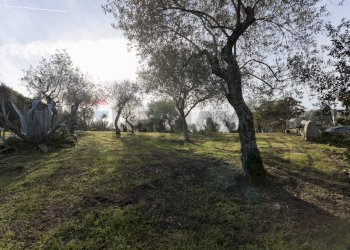 Giardino - Casa indipendente S.V. Prunizzedda - Serra Secca
 
11, Sassari - foto 23