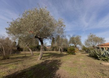 Giardino - Casa indipendente S.V. Prunizzedda - Serra Secca
 
11, Sassari - foto 30