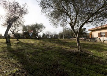 Giardino - Casa indipendente S.V. Prunizzedda - Serra Secca
 
11, Sassari - foto 78