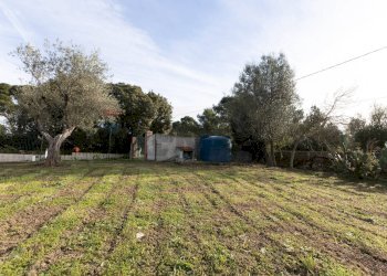 Giardino - Casa indipendente S.V. Prunizzedda - Serra Secca
 
11, Sassari - foto 79