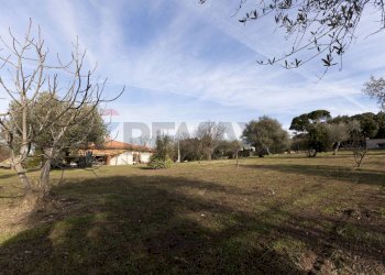 Giardino - Casa indipendente S.V. Prunizzedda - Serra Secca
 
11, Sassari - foto 81