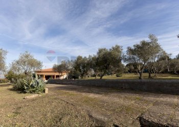 Giardino - Casa indipendente S.V. Prunizzedda - Serra Secca
 
11, Sassari - foto 84