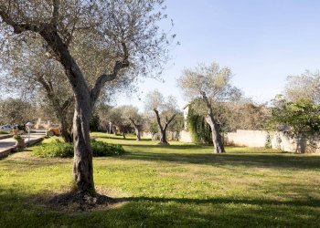 Giardino - Casa indipendente Via Baldinca, Sassari - foto 141