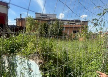 Giardino - Terreno edificabile Benevento - foto 3