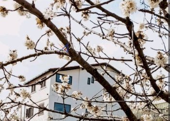 Foto 36 - Villa Ventimiglia - foto 36