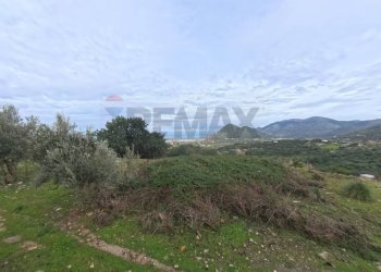 Vista delle montagne - Villa via Cangialosi
 
126, Carini - photo 17