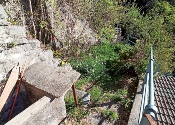 Giardino - Casa indipendente L, Vaccami, Tremezzina - foto 9