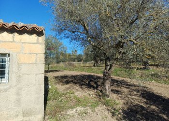 Giardino - Rustico C/da Pipitone, Chiaramonte Gulfi - foto 4