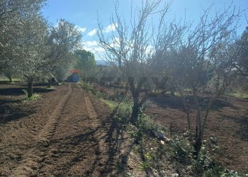 Vista delle montagne - Rustico C/da Pipitone, Chiaramonte Gulfi - foto 8